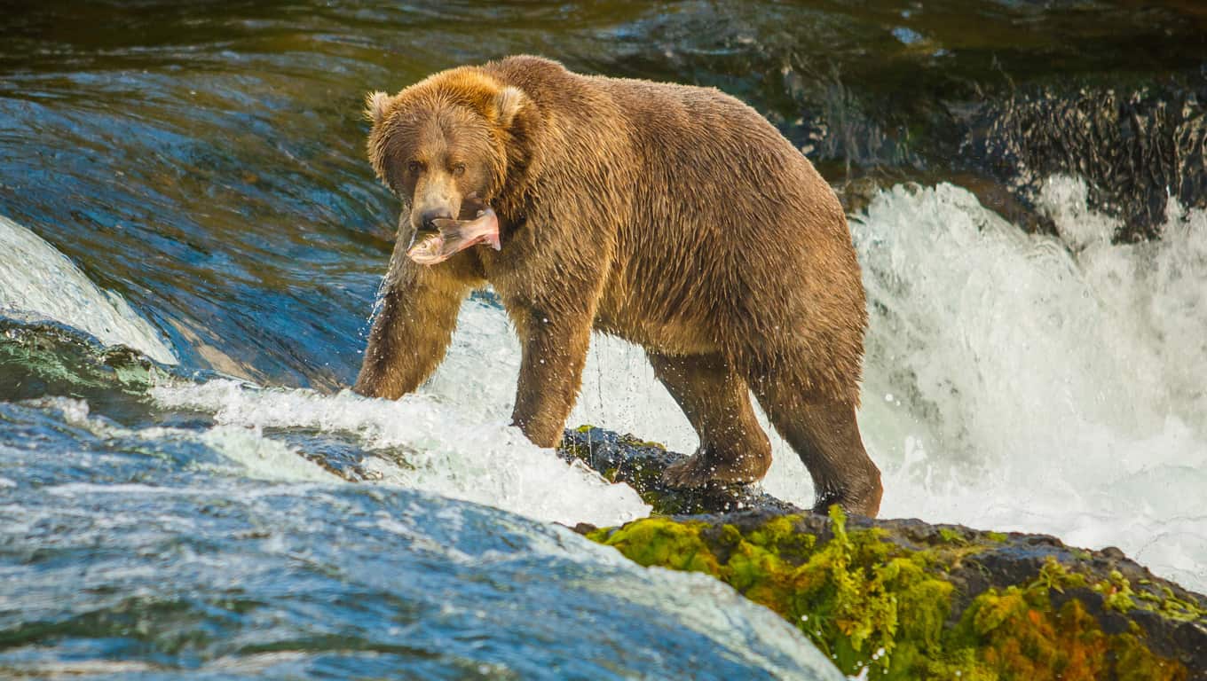 Alaska, USA